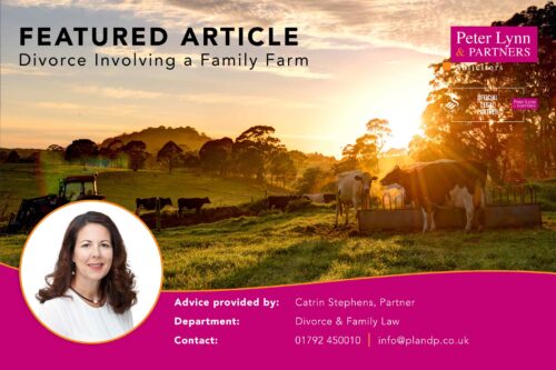 Divorce_Family_Farm