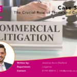 Case Study: The Crucial Role of Terms and Conditions