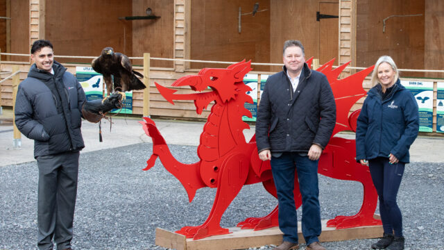 British Bird of Prey Centre