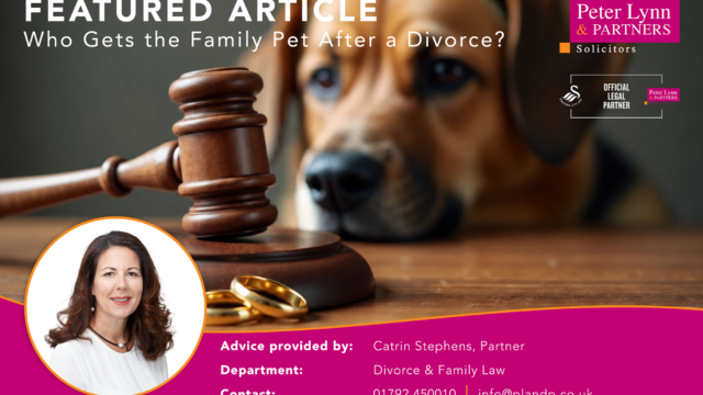 Who Gets the Family Pet After a Divorce