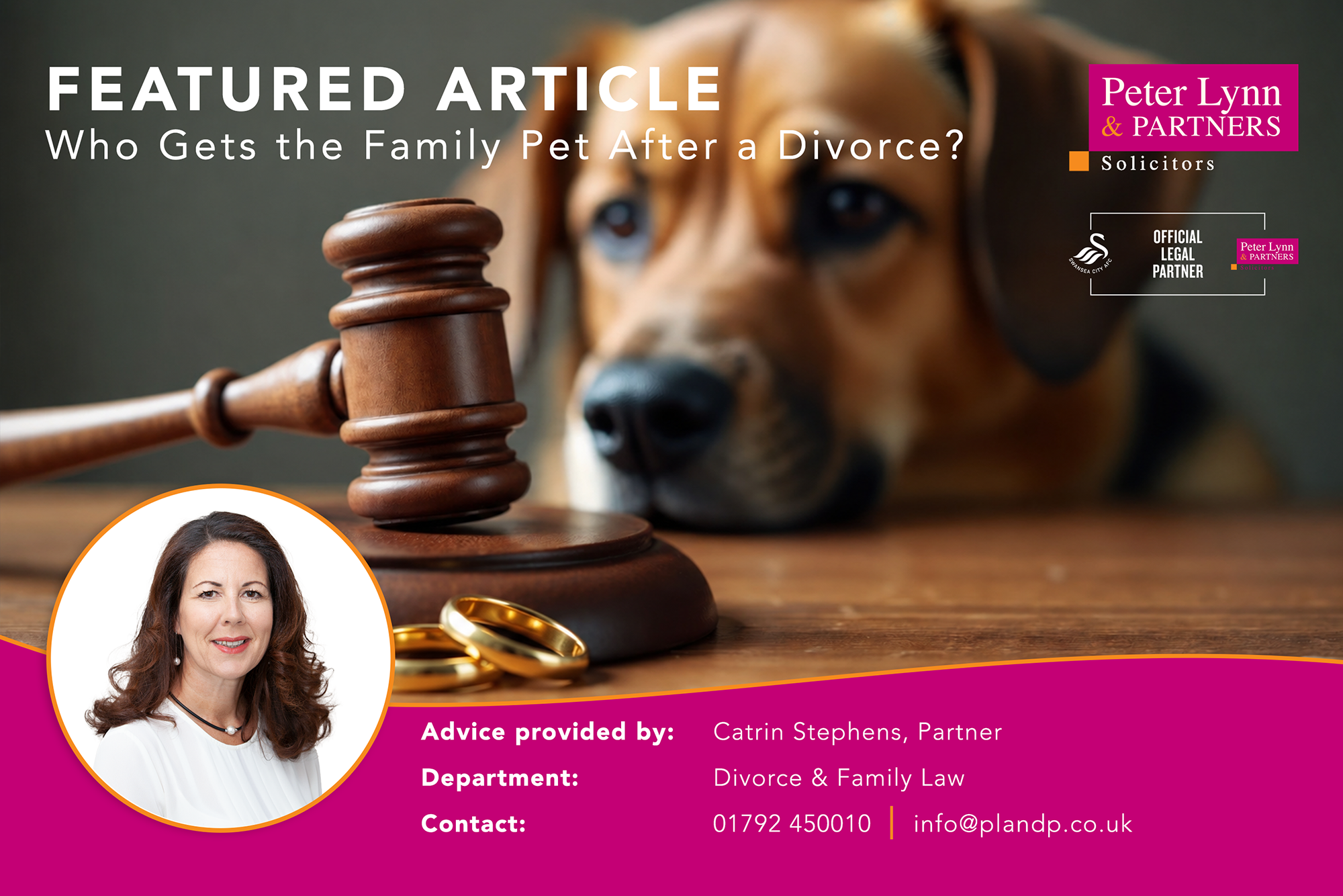Who Gets the Family Pet After a Divorce